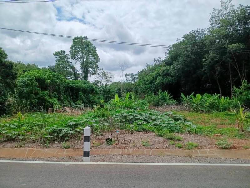 ที่ดิน 231.3 ตร.ว. เขตเมืองสุราษฎร์ฯ | วัดประดู่ | โฉนดพร้อม | พัฒนาได้หลายรูปแบบ, สุราษฎร์ธานี, วัดประดู่, เมืองสุราษฎร์ธานี, สุราษฎร์ธานี, 925 ตร.ม., ที่ดิน ขาย, โดย ชญาพิชชา พันธกิจ, 500568358 - DDproperty.com