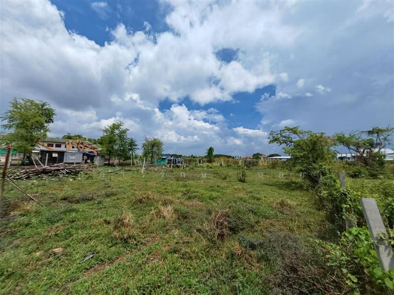 ที่ดินเปล่า 200 ตร.ว. ที่ดิน ติอโอรีฟคาร์ ซอยสุเหร่าใหม่ บางบัวทอง นนทบุรี, นนทบุรี, ถนนบางบัวทอง-สุพรรณบุรี, บางบัวทอง, นนทบุรี, 800 ตร.ม., ที่ดิน ขาย, โดย คุณ กันตภณ จักกาวิรักษ์ (บอย), 500568375 - DDproperty.com
