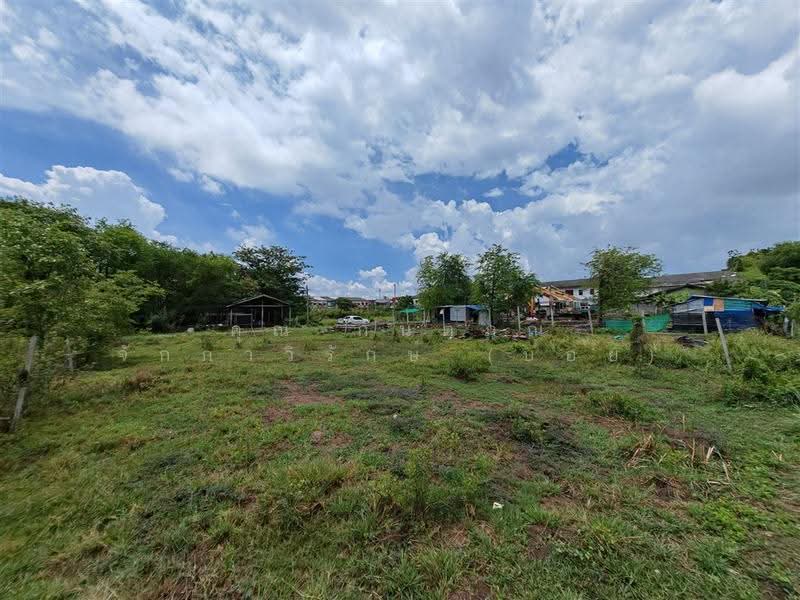 ที่ดินเปล่า 200 ตร.ว. ที่ดิน ติอโอรีฟคาร์ ซอยสุเหร่าใหม่ บางบัวทอง นนทบุรี, นนทบุรี, ถนนบางบัวทอง-สุพรรณบุรี, บางบัวทอง, นนทบุรี, 800 ตร.ม., ที่ดิน ขาย, โดย คุณ กันตภณ จักกาวิรักษ์ (บอย), 500568375 - DDproperty.com