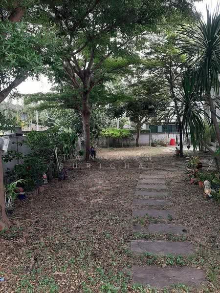 บ้าน 3-ห้องนอน, ชลบุรี, สุรศักดิ์, ศรีราชา, ชลบุรี, 200 ตร.ม., บ้านเดี่ยว ขาย, โดย Tanawan Surichai, 500568431 - DDproperty.com