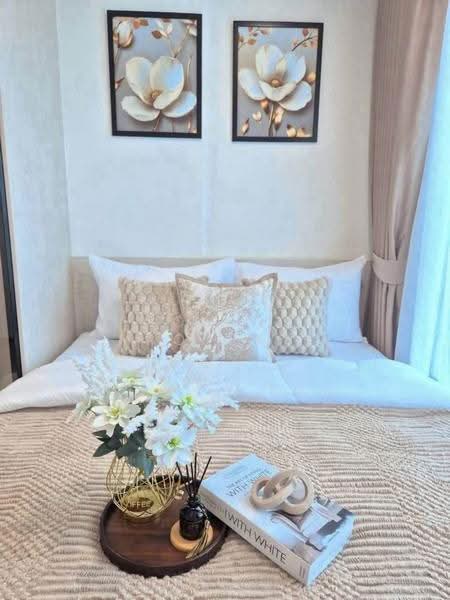 Kave Wonderland, Pathum Thani, Khlong Nung, Khlong Luang, Pathum Thani, 1 Bedroom, 26 sqm, Condo For Rent, by Connex Property, 500568518 - DDproperty.com