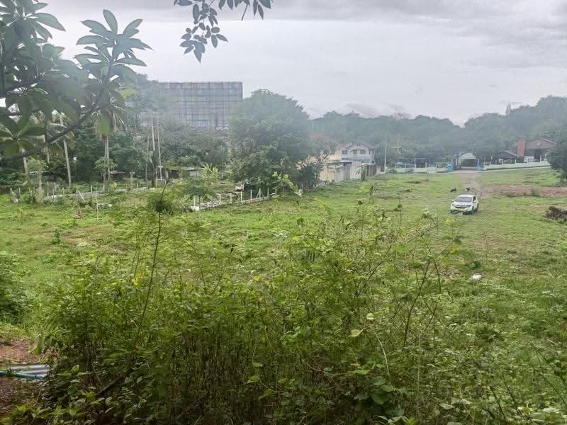Land for sale 2-1-42 Rai in Pak Chong / Khao Yai, Nakornrachsima, Nakhon Ratchasima, มิตรภาพ, Pak Chong, Pak Chong, Nakhon Ratchasima, , 3,768 sqm, Land For Sale, by Tippawan Charoengam, 500568667 - DDproperty.com