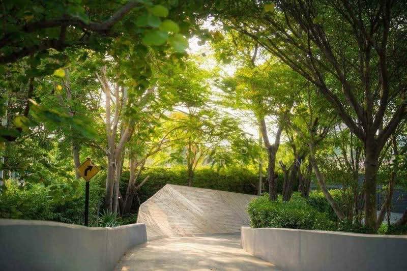 IDEO O2 Bangna, Bangkok, 195 Sanphawut Road, Bang Na Tai, Bang Na, Bangkok, 2 Bedrooms, 47 sqm, Condo For Rent, by Khemasooch Chiraburanan, 500568888 - DDproperty.com