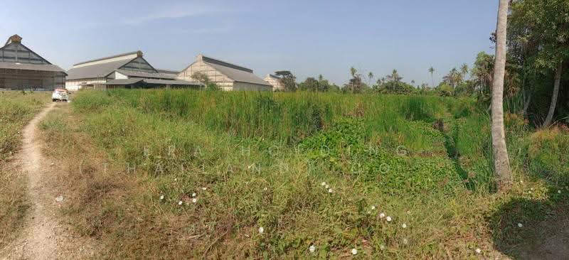 เพชรเกษม พุทธมณฑลสาย 7 ติดริมแม่น้ำ เหมาะสร้างหมู่บ้าน, นครปฐม, ท่าตลาด, สามพราน, นครปฐม, 62,400 ตร.ม., ที่ดิน ขาย, โดย ERA Holding (Thailand) Co., Ltd., 500569126 - DDproperty.com