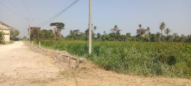 เพชรเกษม พุทธมณฑลสาย 7 ติดริมแม่น้ำ เหมาะสร้างหมู่บ้าน, Nakhon Pathom, Tha Talat, Sam Phran, Nakhon Pathom, , 62,400 sqm, Land For Sale, by ERA Holding (Thailand) Co., Ltd., 500569126 - DDproperty.com