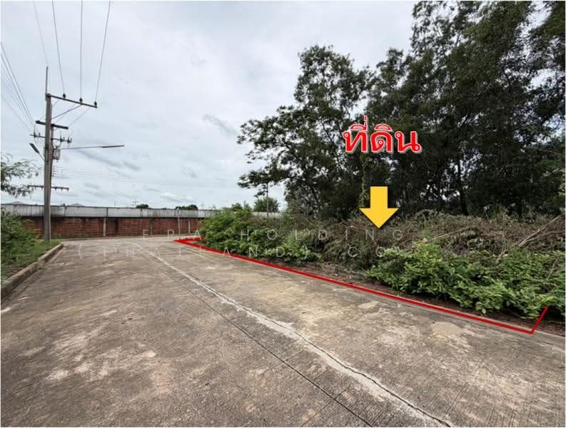 เปล่า หมู่บ้านปาริชาต คลอง 4 แปลงสวย เหมาะสร้างบ้านพักอาศัย, Pathum Thani, Khlong Si, Khlong Luang, Pathum Thani, , 560 sqm, Land For Sale, by ERA Holding (Thailand) Co., Ltd., 500569183 - DDproperty.com