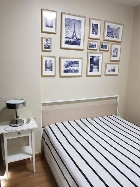 IDEO Mix Sukhumvit 103, bangkok, Soi Udom Suk 3, Sukhumvit Road, Bang Na, Bangkok, 1 Bedroom, 30 sqm, Condo For Rent, by Connex Property, 500569276 - DDproperty.com