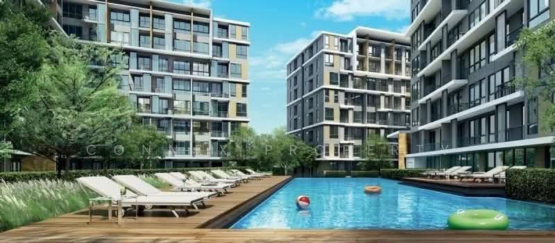 iCondo Sukhumvit 103, Bangkok, Soi Udom Suk 58, Sukhumvit Road, Bang Na, Bangkok, 1 Bedroom, 29 sqm, Condo For Rent, by Connex Property, 500569306 - DDproperty.com
