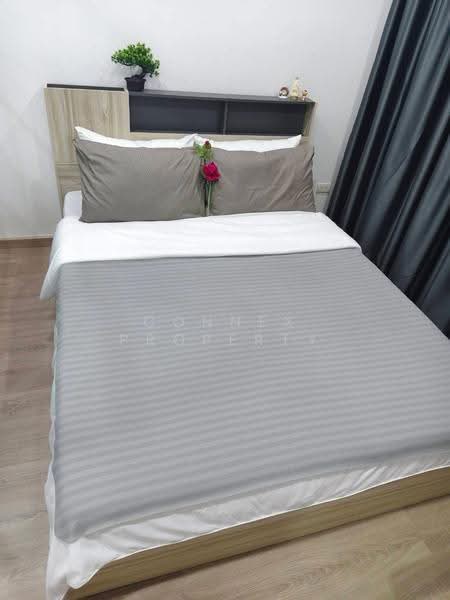 Good Condominium, Phuket, Yaowarat Road, Ratsada, Muang Phuket, Phuket, 1 Bedroom, 28 sqm, Condo For Rent, by Connex Property, 500569423 - DDproperty.com