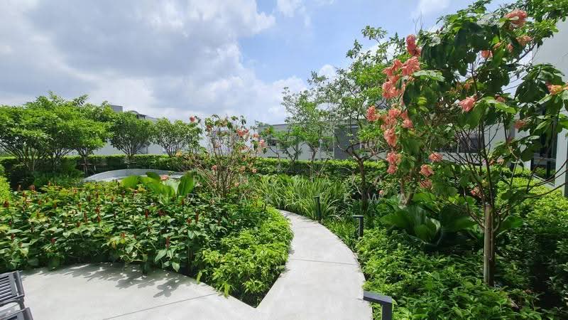 IDEO Ramkamhaeng Lamsali Station, Bangkok, Ramkhamhaeng Road, Hua Mak, Bang Kapi, Bangkok, Studio, 25 sqm, Condo For Rent, by Arinchaya Pornphakdeewattana, 500569436 - DDproperty.com