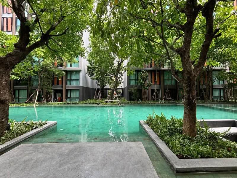 Vtara Sukhumvit 36 : วีธารา สุขุมวิท 36, กรุงเทพ, 118 ซอยแสนสบาย, พระโขนง, คลองเตย, กรุงเทพ, 50 ตร.ม., คอนโด ให้เช่า, โดย Thanyalak Ajmera, 500569533 - DDproperty.com