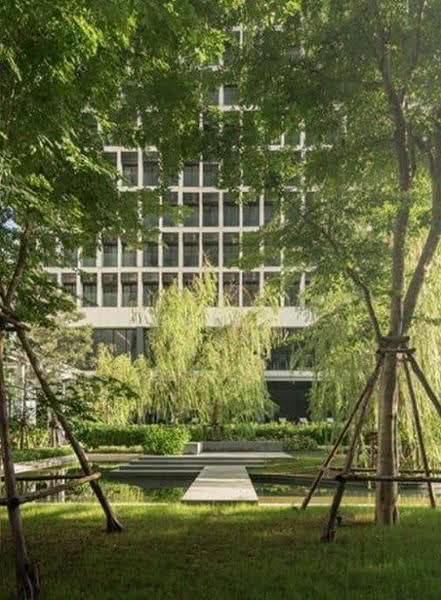 Noble Ploenchit, Bangkok, 1035 Ploenchit  Road, Lumphini, Pathum Wan, Bangkok, Studio, 46 sqm, Condo For Rent, by Bussara Sri-At, 500569656 - DDproperty.com
