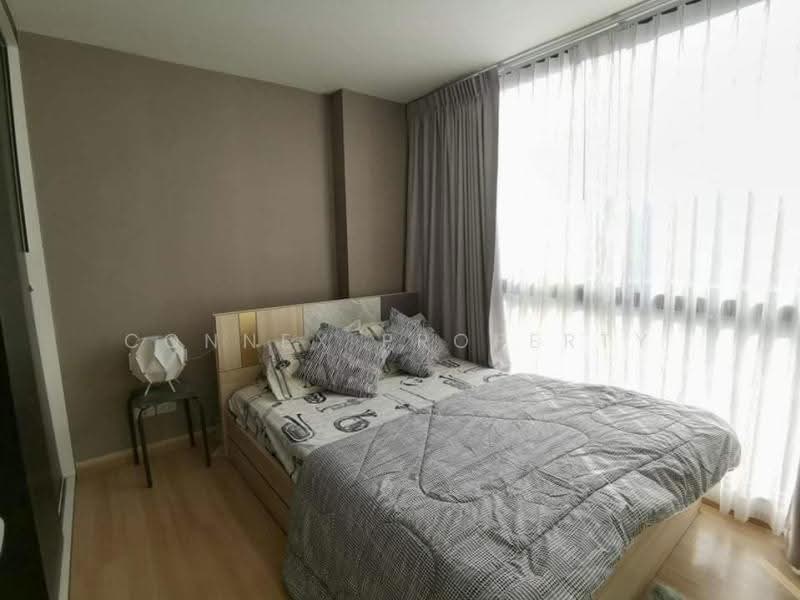 Chateau In Town Sukhumvit 64/1 : ชาโตว์ อินทาวน์ สุขุมวิท 64/1, กรุงเทพ, 17 ถนนสุขุมวิท 64/1, บางจาก, พระโขนง, กรุงเทพ, 32 ตร.ม., คอนโด ให้เช่า, โดย Connex Property, 500569755 - DDproperty.com