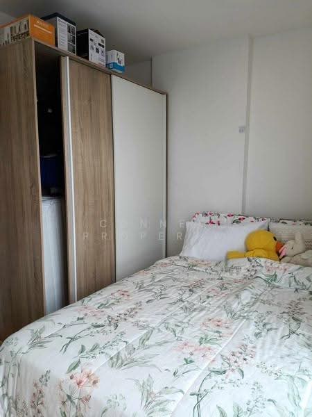 Cerocco Bangna 36, Bangkok, Bang Na-Trat 36 Alley, Bang Na, Bangkok, 1 Bedroom, 27 sqm, Condo For Rent, by Connex Property, 500569773 - DDproperty.com