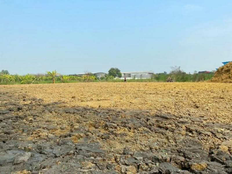 ไม่พบโครงการ, Nonthaburi, นฐ.3004 โยธาธิการ นนทบุรี, Nong Prao Ngai, Sai Noi, Nonthaburi, , 1,660 sqm, Land For Rent, by ณัฐพงศ์ สุนทรอรุณ, 500569811 - DDproperty.com