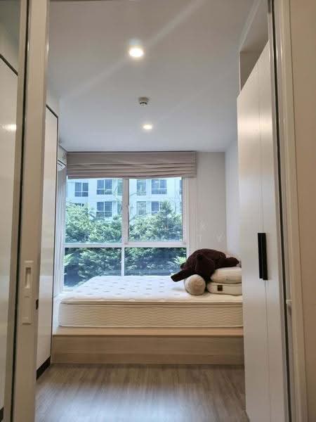 Blue Phahonyothin 35, Bangkok, Phahon Yothin 35 Alley, Chatuchak, Bangkok, 1 Bedroom, 35 sqm, Condo For Rent, by Connex Property, 500569814 - DDproperty.com