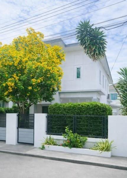 ไม่พบโครงการ, Chon Buri (Pattaya), อัสสัมชัญ ศรีราชา-หนองยายบู่, Nong - Kham, Si Racha, Chon Buri (Pattaya), Studio, 170 sqm, Single Detached House For Rent, by ณัฐพงศ์ สุนทรอรุณ, 500569840 - DDproperty.com