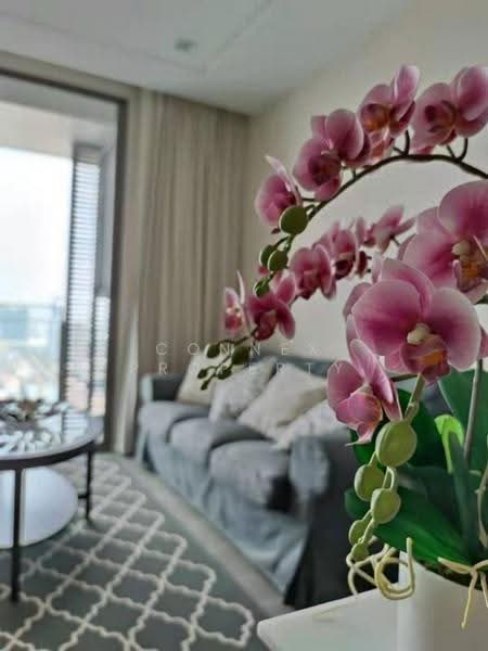 333 Riverside, Bangkok, 333 Pracharat Sai 2, Bang Sue, Bangkok, 1 Bedroom, 46 sqm, Condo For Rent, by Connex Property, 500569893 - DDproperty.com