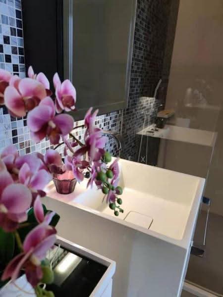 333 Riverside, Bangkok, 333 Pracharat Sai 2, Bang Sue, Bangkok, 1 Bedroom, 46 sqm, Condo For Rent, by Connex Property, 500569893 - DDproperty.com