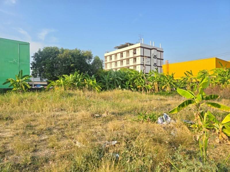 ไม่พบโครงการ, Nakhon Pathom, พุทธมณฑลสาย 4, Krathum Lom, Sam Phran, Nakhon Pathom, , 600 sqm, Land For Rent, by ณัฐพงศ์ สุนทรอรุณ, 500569912 - DDproperty.com