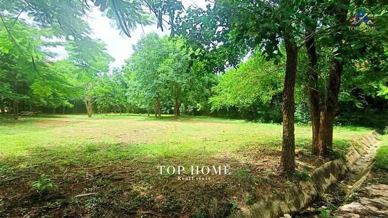ขายด่วน! ที่ดินแปลงมุม วิวภูเขา | มวกเหล็กวัลเลย์ สระบุรี, Saraburi, Mittaphap, Muak Lek, Saraburi, , 1,924 sqm, Land For Sale, by คุณเเจง, 500569926 - DDproperty.com