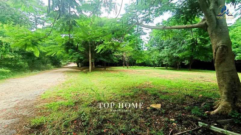 ขายด่วน! ที่ดินแปลงมุม วิวภูเขา | มวกเหล็กวัลเลย์ สระบุรี, Saraburi, Mittaphap, Muak Lek, Saraburi, , 1,924 sqm, Land For Sale, by คุณเเจง, 500569926 - DDproperty.com
