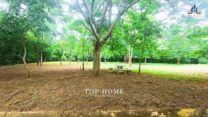 ขายด่วน! ที่ดินแปลงมุม วิวภูเขา | มวกเหล็กวัลเลย์ สระบุรี, Saraburi, Mittaphap, Muak Lek, Saraburi, , 1,924 sqm, Land For Sale, by คุณเเจง, 500569926 - DDproperty.com