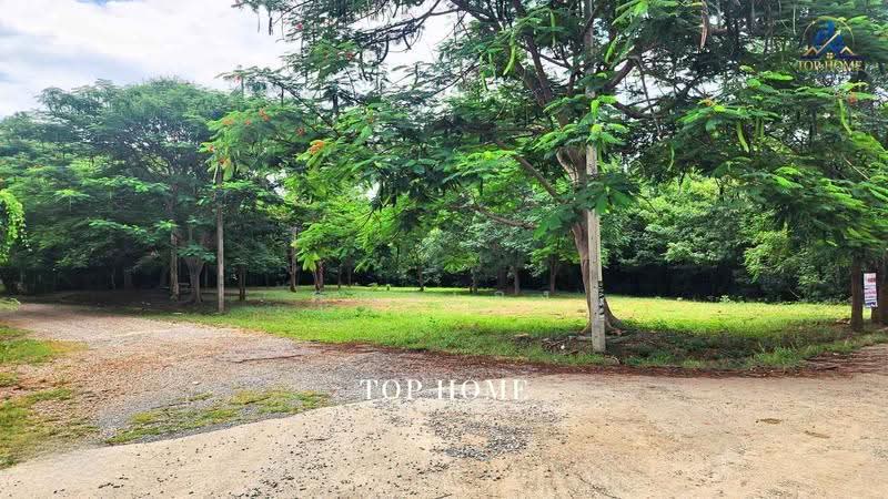 ขายด่วน! ที่ดินแปลงมุม วิวภูเขา | มวกเหล็กวัลเลย์ สระบุรี, สระบุรี, มิตรภาพ, มวกเหล็ก, สระบุรี, 1,924 ตร.ม., ที่ดิน ขาย, โดย คุณเเจง, 500569926 - DDproperty.com