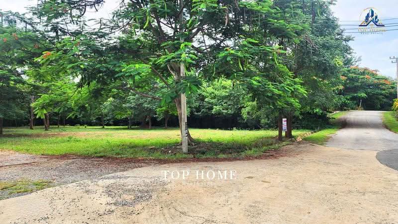 ขายด่วน! ที่ดินแปลงมุม วิวภูเขา | มวกเหล็กวัลเลย์ สระบุรี, สระบุรี, มิตรภาพ, มวกเหล็ก, สระบุรี, 1,924 ตร.ม., ที่ดิน ขาย, โดย คุณเเจง, 500569926 - DDproperty.com