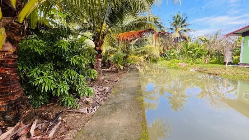 ที่ดินอัมพวา สมุทรสงคราม, Samut Songkhram, Bang Chang, Amphawa, Samut Songkhram, , 1,769 sqm, Land For Sale, by The Best Property กิ๊ฟ, 500569949 - DDproperty.com