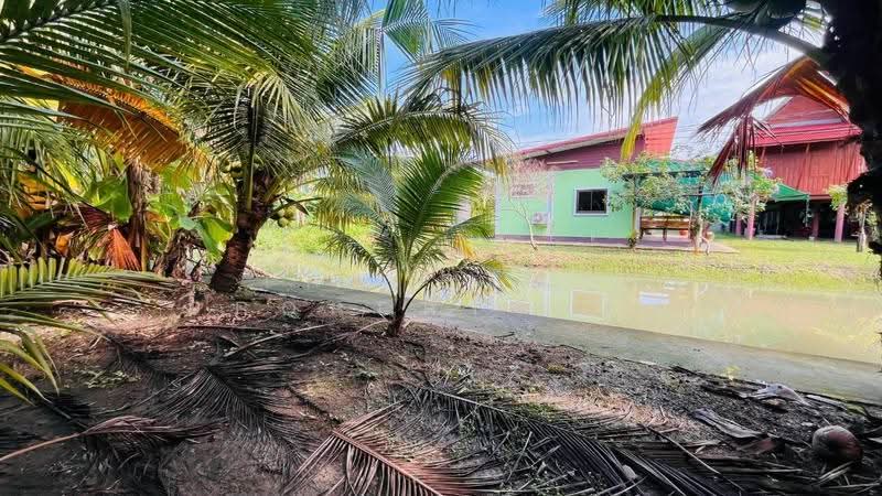 ที่ดินอัมพวา สมุทรสงคราม, Samut Songkhram, Bang Chang, Amphawa, Samut Songkhram, , 1,769 sqm, Land For Sale, by The Best Property กิ๊ฟ, 500569949 - DDproperty.com