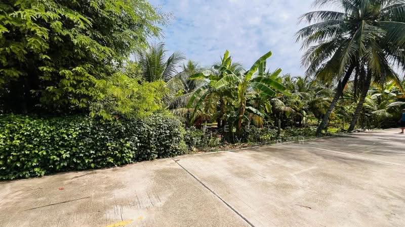 ที่ดินอัมพวา สมุทรสงคราม, Samut Songkhram, Bang Chang, Amphawa, Samut Songkhram, , 1,769 sqm, Land For Sale, by The Best Property กิ๊ฟ, 500569949 - DDproperty.com