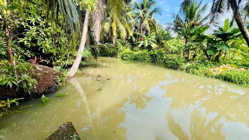 ที่ดินอัมพวา สมุทรสงคราม, Samut Songkhram, Bang Chang, Amphawa, Samut Songkhram, , 1,769 sqm, Land For Sale, by The Best Property กิ๊ฟ, 500569949 - DDproperty.com