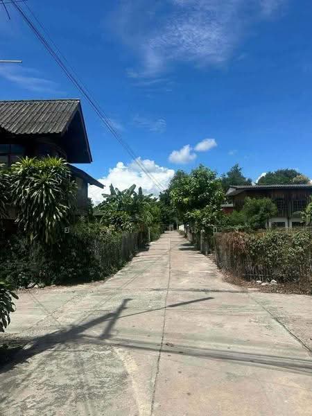 ขายบ้านเดี่ยว โซนสันป่าตอง, เชียงใหม่, บ้านกลาง, สันป่าตอง, เชียงใหม่, 130 ตร.ม., บ้านเดี่ยว ขาย, โดย อามร ยืนยง, 500569951 - DDproperty.com