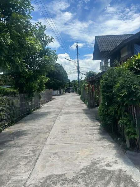 ขายบ้านเดี่ยว โซนสันป่าตอง, เชียงใหม่, บ้านกลาง, สันป่าตอง, เชียงใหม่, 130 ตร.ม., บ้านเดี่ยว ขาย, โดย อามร ยืนยง, 500569951 - DDproperty.com