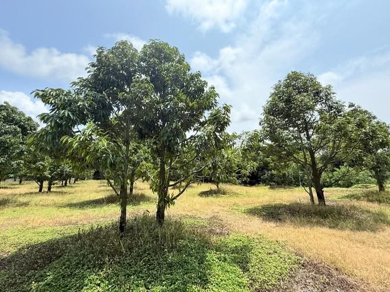 ที่ดินนายายอาม จันทบุรี, จันทบุรี, สนามไชย, นายายอาม, จันทบุรี, 9,314 ตร.ม., ที่ดิน ขาย, โดย The Best Property เมญ่า, 500569971 - DDproperty.com