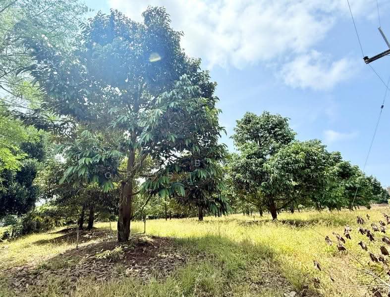 ที่ดินนายายอาม จันทบุรี, Chanthaburi, Sanam-chai, Na Yai Am, Chanthaburi, , 9,314 sqm, Land For Sale, by The Best Property เมญ่า, 500569971 - DDproperty.com