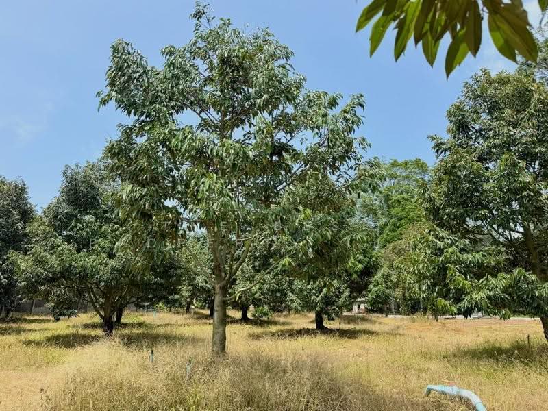 ที่ดินนายายอาม จันทบุรี, จันทบุรี, สนามไชย, นายายอาม, จันทบุรี, 9,314 ตร.ม., ที่ดิน ขาย, โดย The Best Property เมญ่า, 500569971 - DDproperty.com