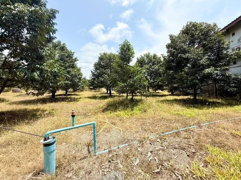 ที่ดินนายายอาม จันทบุรี, Chanthaburi, Sanam-chai, Na Yai Am, Chanthaburi, , 9,314 sqm, Land For Sale, by The Best Property เมญ่า, 500569971 - DDproperty.com