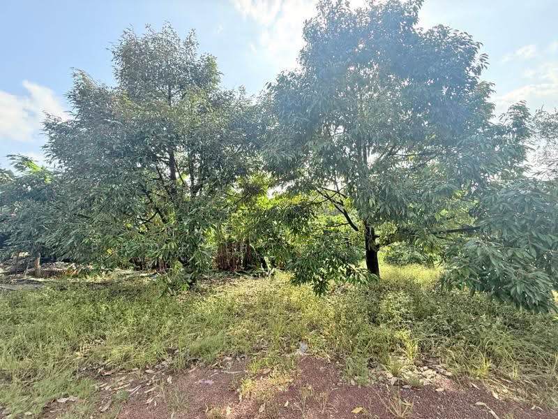 ที่ดิน เนื้อที่ 56 ไร่ 1 งาน 87.1 ตร.วา เขาสมิง ตราด, Trat, Sato, Khao Saming, Trat, , 90,348 sqm, Land For Sale, by The Best Property เมญ่า, 500569995 - DDproperty.com