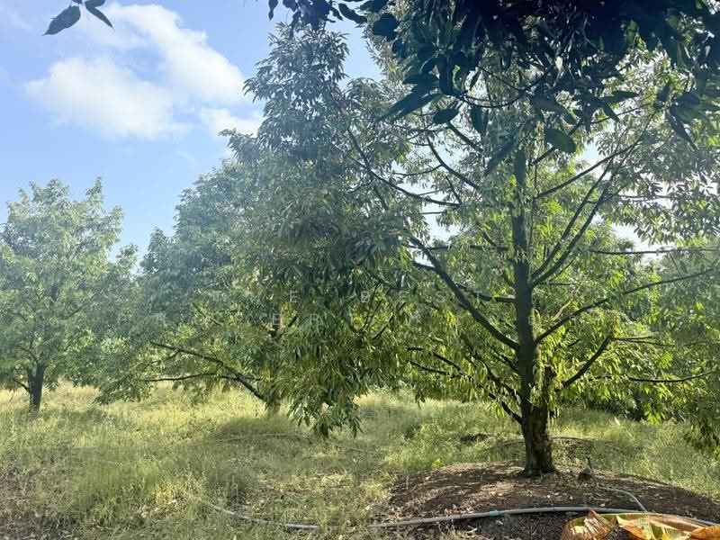 ที่ดิน เนื้อที่ 56 ไร่ 1 งาน 87.1 ตร.วา เขาสมิง ตราด, Trat, Sato, Khao Saming, Trat, , 90,348 sqm, Land For Sale, by The Best Property เมญ่า, 500569995 - DDproperty.com