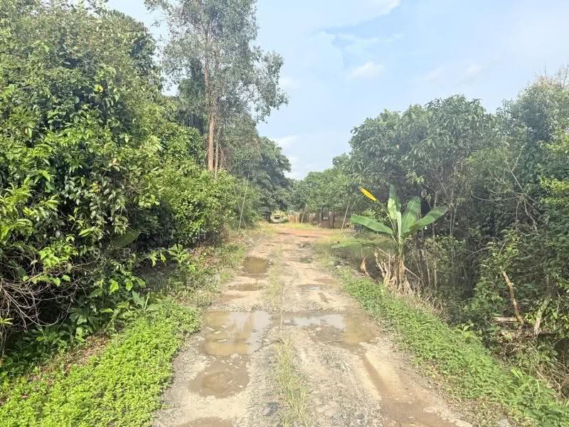 ที่ดิน เนื้อที่ 56 ไร่ 1 งาน 87.1 ตร.วา เขาสมิง ตราด, Trat, Sato, Khao Saming, Trat, , 90,348 sqm, Land For Sale, by The Best Property เมญ่า, 500569995 - DDproperty.com