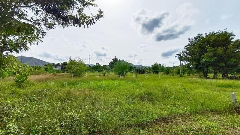 ที่ดินปากท่อ ราชบุรี, Ratchaburi, Thung Luang, Pak Tho, Ratchaburi, , 800 sqm, Land For Sale, by The Best Property ณัฐ, 500570002 - DDproperty.com