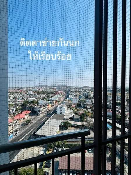 Supalai City Resort Chonburi : ศุภาลัย ซิตี้ รีสอร์ท ชลบุรี, ชลบุรี, ถนนสุขุมวิท, บางปลาสร้อย, เมืองชลบุรี, ชลบุรี, 39 ตร.ม., คอนโด ให้เช่า, โดย ดุสิต แสงฟ้า, 500570060 - DDproperty.com
