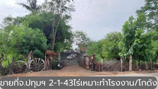 สามโคก, Pathum Thani, เทศบาล 6, Bang Pho Nua, Sam Khok, Pathum Thani, , 3,772 sqm, Retail Space For Rent, by กฤต พรหมหิตาทร, 500570064 - DDproperty.com