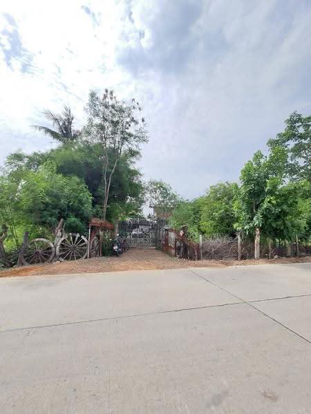 สามโคก, Pathum Thani, เทศบาล 6, Bang Pho Nua, Sam Khok, Pathum Thani, , 3,772 sqm, Retail Space For Rent, by กฤต พรหมหิตาทร, 500570064 - DDproperty.com