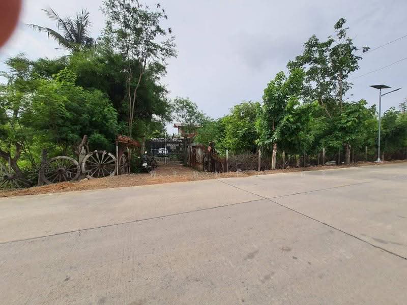สามโคก, ปทุมธานี, เทศบาล 6, บางโพธิ์เหนือ, สามโคก, ปทุมธานี, 3,772 ตร.ม., พื้นที่ขายของ ให้เช่า, โดย กฤต พรหมหิตาทร, 500570064 - DDproperty.com