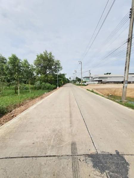 สามโคก, ปทุมธานี, เทศบาล 6, บางโพธิ์เหนือ, สามโคก, ปทุมธานี, 3,772 ตร.ม., พื้นที่ขายของ ให้เช่า, โดย กฤต พรหมหิตาทร, 500570064 - DDproperty.com