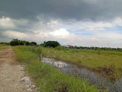 ขาย - ขายที่ดินแปลงสวยนิมิตรใหม่ จัดสรรแล้ว ทำเลทองทำโครงการหมู่บ้านหรือโกดัง, กรุงเทพ