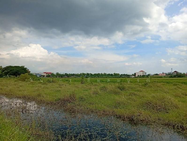 ขายที่ดินแปลงสวยนิมิตรใหม่ จัดสรรแล้ว ทำเลทองทำโครงการหมู่บ้านหรือโกดัง, กรุงเทพ, มีนบุรี, กรุงเทพ, 7,668 ตร.ม., ที่ดิน ขาย, โดย ธนากร ยิ้มสมบูรณ์, 500570121 - DDproperty.com